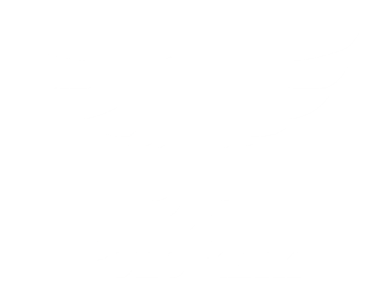 Polo Reik